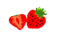 sketch 1041 strawberries
