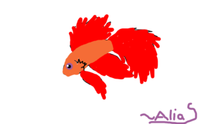 sketch 91445 Red Betta fish ( dunno the type) ~ Alias
